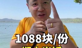 明星黑料网站视频免费观看 网红大logo,网红大LOGO下的免费观看秘密